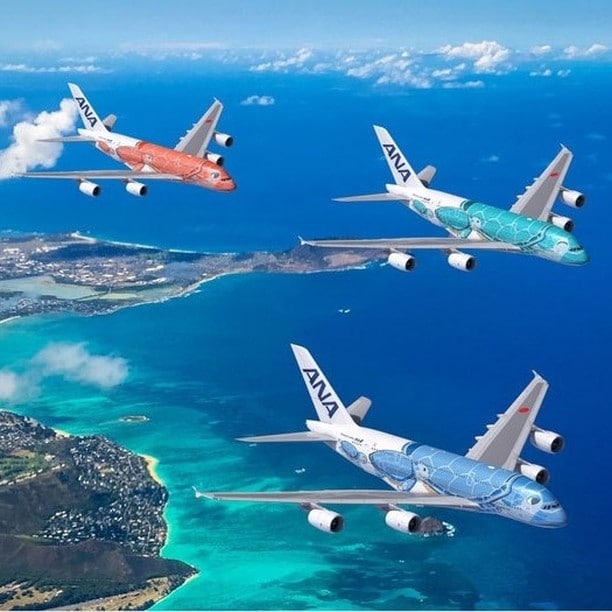全日空 エアバス380型機(フライング ホヌ) - All Nippon Airways Airbus A380 (FLYING HONU)　#全日空 #飛行機 #旅 #旅行 #エアバス #A380 #ANA #Airplane #Journey #Travel #FLYINGHONU