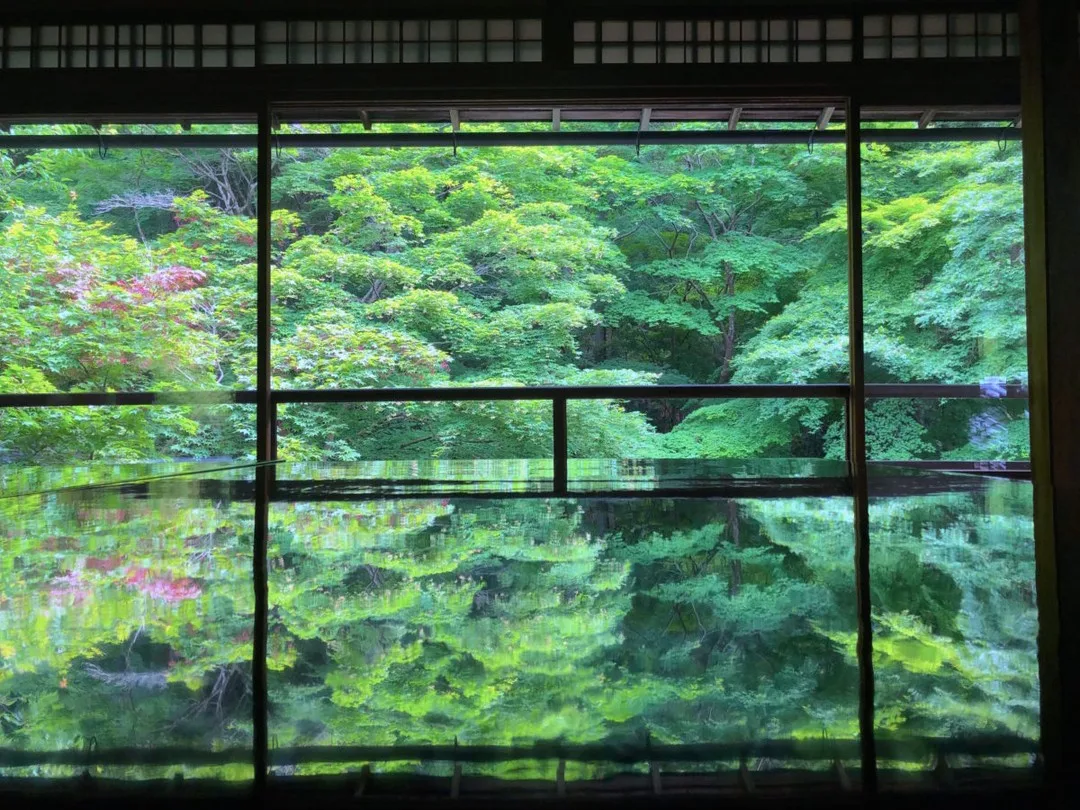 新緑の日本庭園 - Fresh Green Japanese Garden#日本 #和室 #庭園 #日本庭園 #樹木 #林 #森 #緑 #新緑 #夏 #初夏 #四季 #観光 #旅行 #伝統美 #Japan #JapaneseStyleRoom #Garden #JapaneseGarden #Forest #Green #FreshGreen #Summer #EarlySummer #FourSeasons #Sightseeing #Travel #Traditional #TraditionalBeauty #instagay